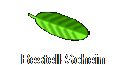 Bestell-Schein