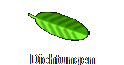 Dichtungen