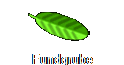 Fundgrube