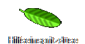 Hilfseinspritzdse