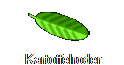 Kartoffelroder