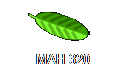 MAH 320