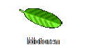 Motoren