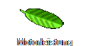 Motorleistung