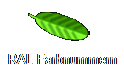 RAL Farbnummern