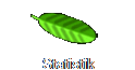 Statistik