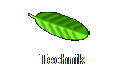 Technik