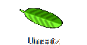 Umsatz